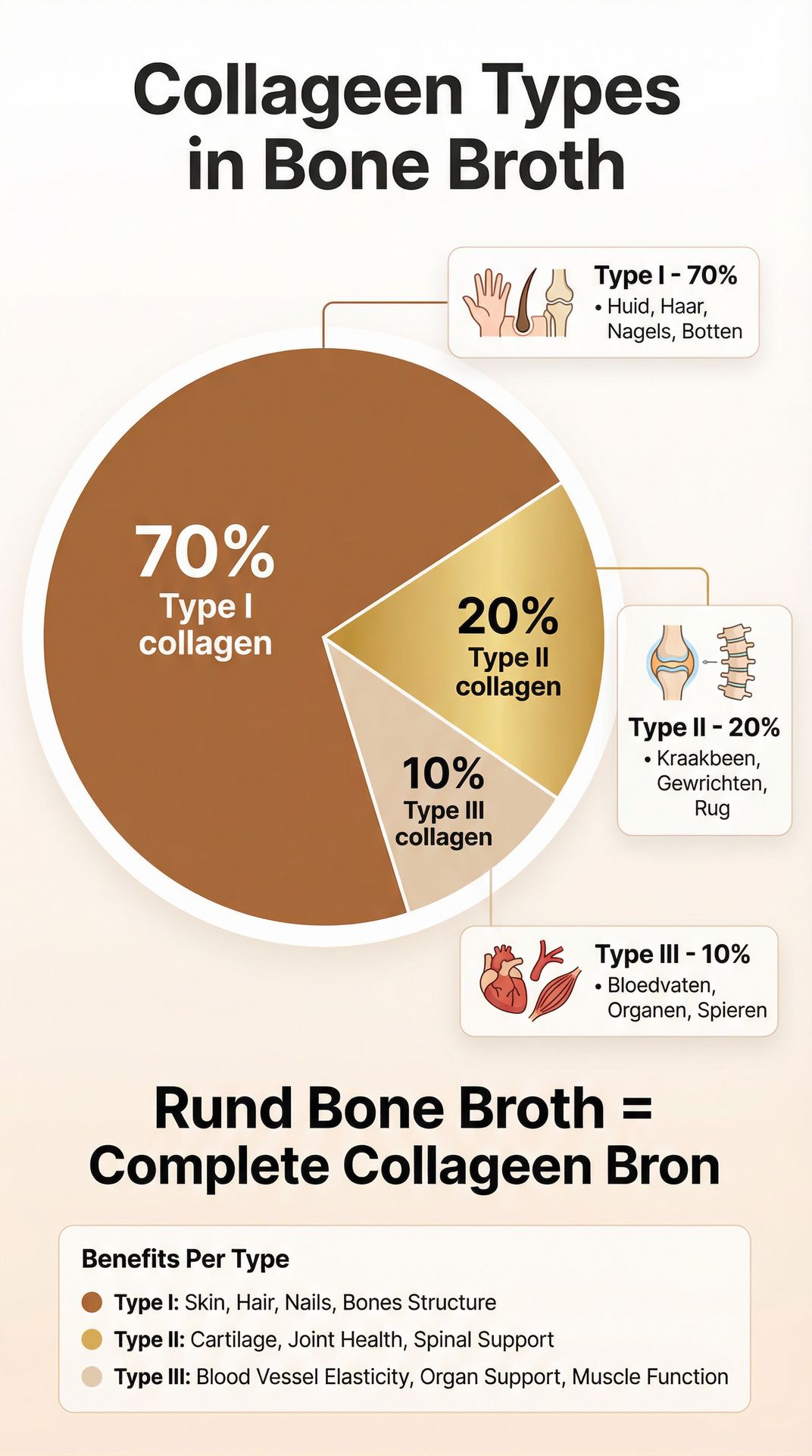 Verdeling van collageen types in bone broth: Type I (70%), Type II (20%), Type III (10%)